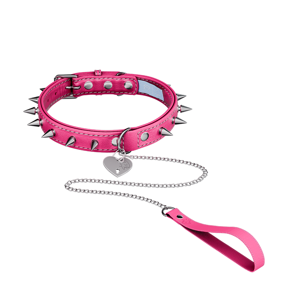 Vei: Snax Spiked Dog Collar + Leash
