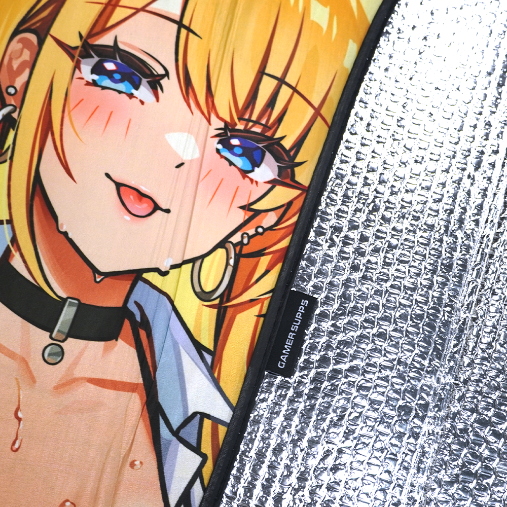 Daisy Detailing: Car Sunshade - Image 2
