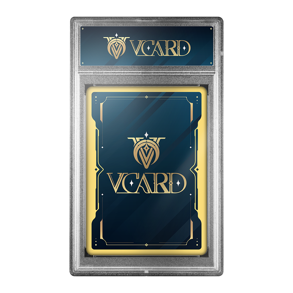 Vcard Promo Slab - Image 4